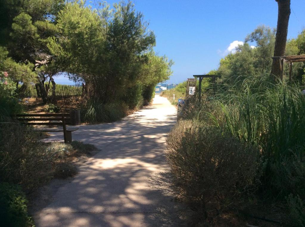 La Badine 5P Plage Piscine Clim Jacuzzi Parc Luxuriant Hyères Kültér fotó