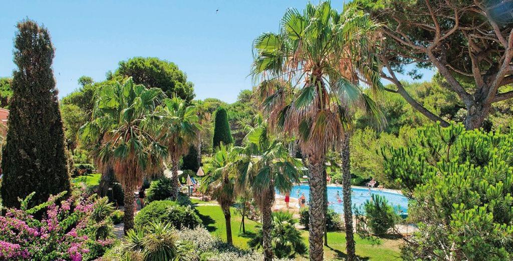 La Badine 5P Plage Piscine Clim Jacuzzi Parc Luxuriant Hyères Kültér fotó
